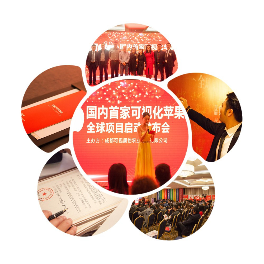九游会AG