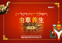 虫草养生胶囊包装盒设计