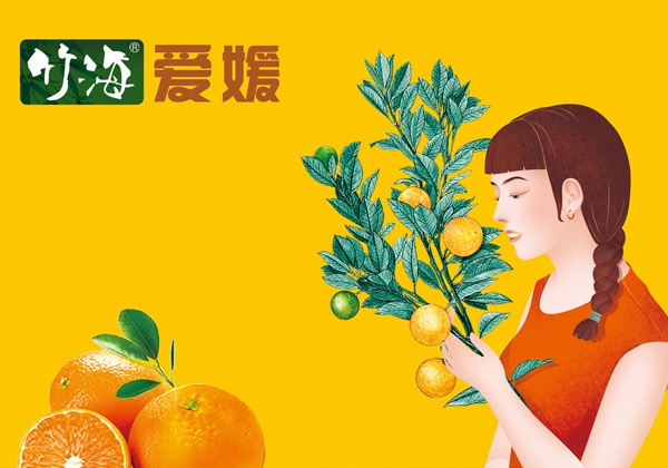 竹海爱媛礼盒包装设计