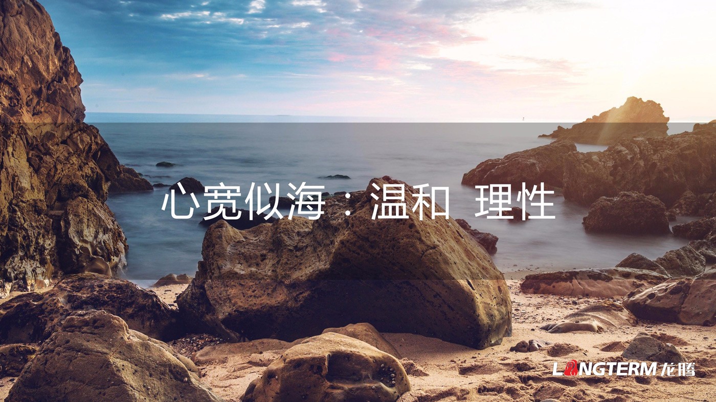 四川海岩声学科技( )登录入口品牌形象logo设计方案