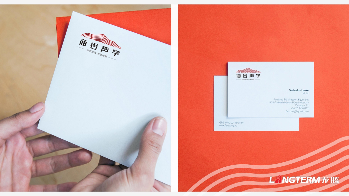 四川海岩声学科技( )登录入口品牌形象logo设计方案