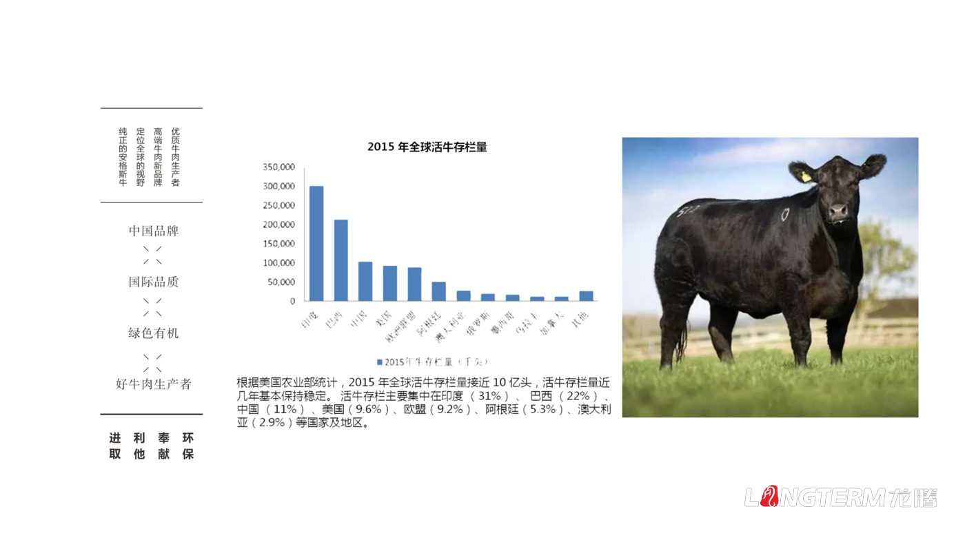 蜀道黑牛品牌策划_蜀道黑牛品牌定位、品牌命名、广告语设计、品牌故事、品牌文化梳理