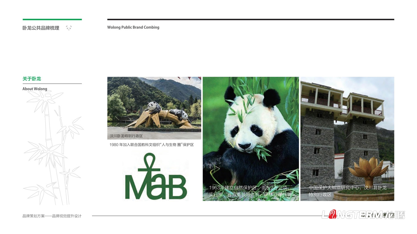 卧龙农九游会AG·登录大厅区域公用品牌策划_阿坝汶川卧龙镇农业品牌策划